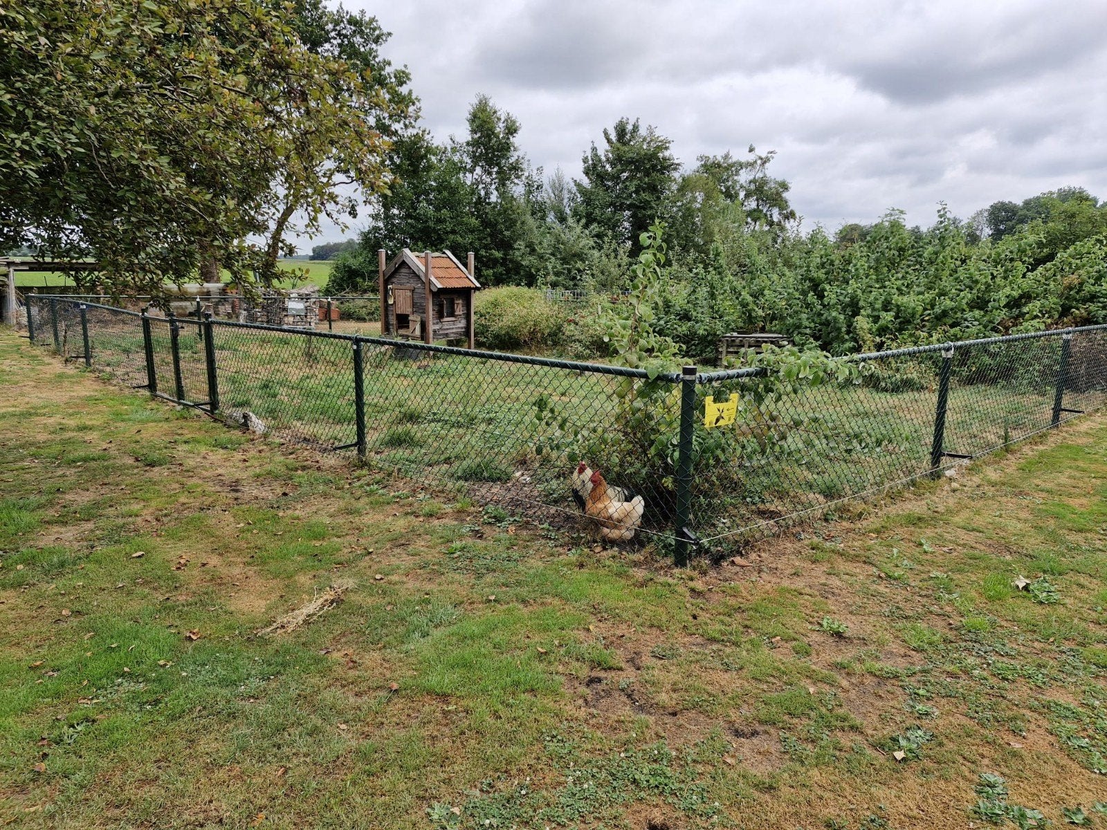 Hekwerk met poortje, ca. 50 meter, Tuin en Terras, Ophalen, Gebruikt, IJzer