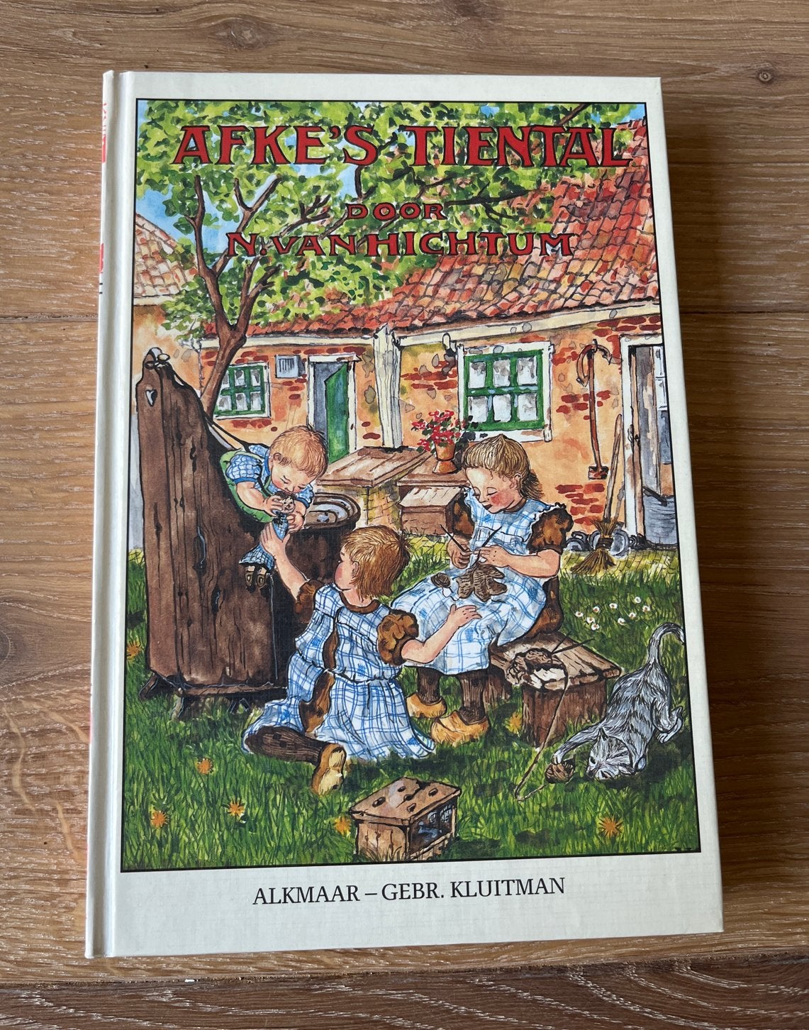 Afke's Tiental - Nienke van Hichtum (Jubileumuitgave), Ophalen of Verzenden, Zo goed als nieuw, Fictie algemeen