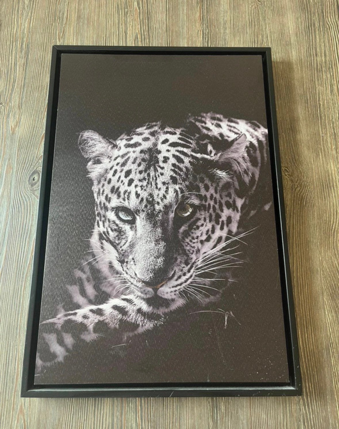 Panter canvas schilderij, Ophalen of Verzenden, Zo goed als nieuw, Schilderij, Minder dan 50 cm