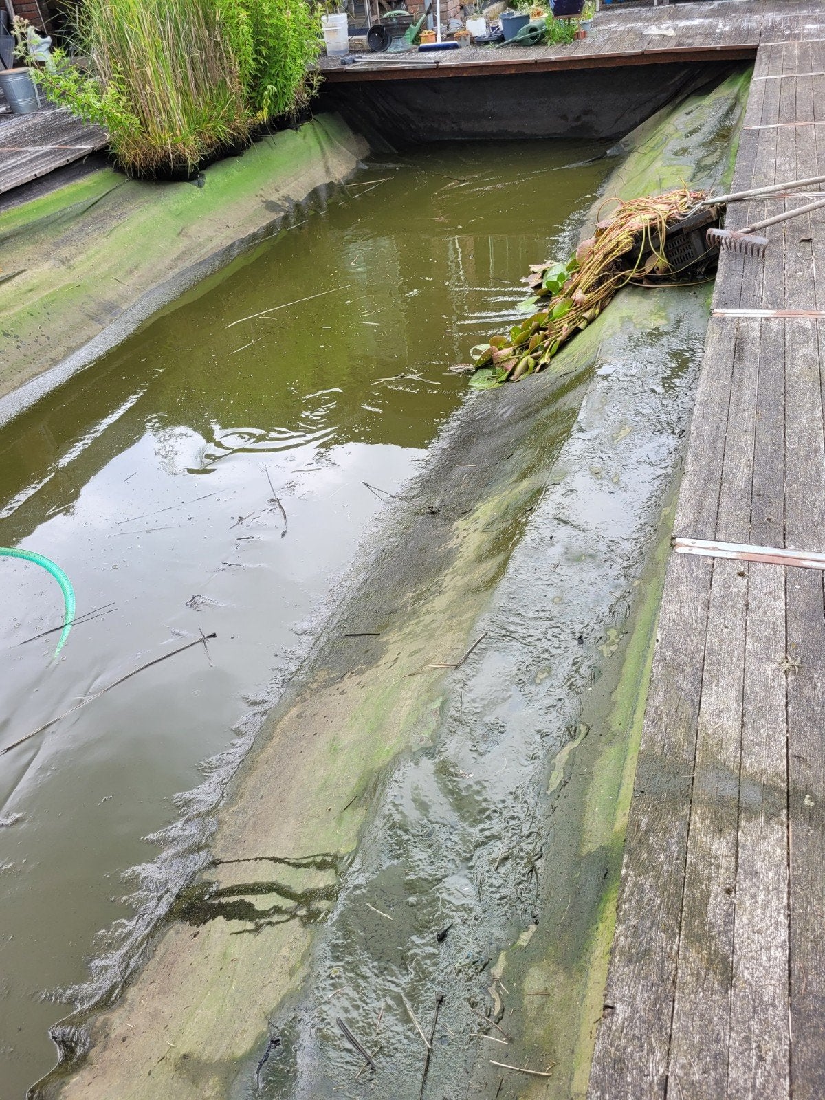 Visvijver of zwemvijver, Ophalen, Gebruikt