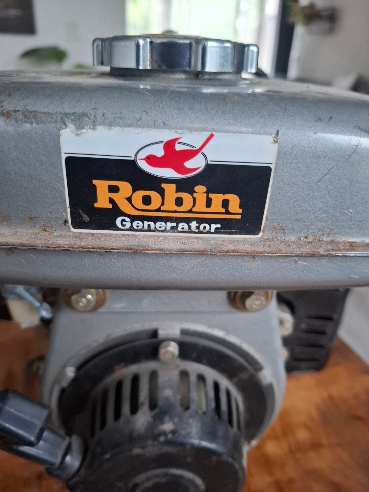 Robin generator model LG071 (antiek) aggregaat, Ophalen, Gebruikt, Groter dan 1:32, Overige merken