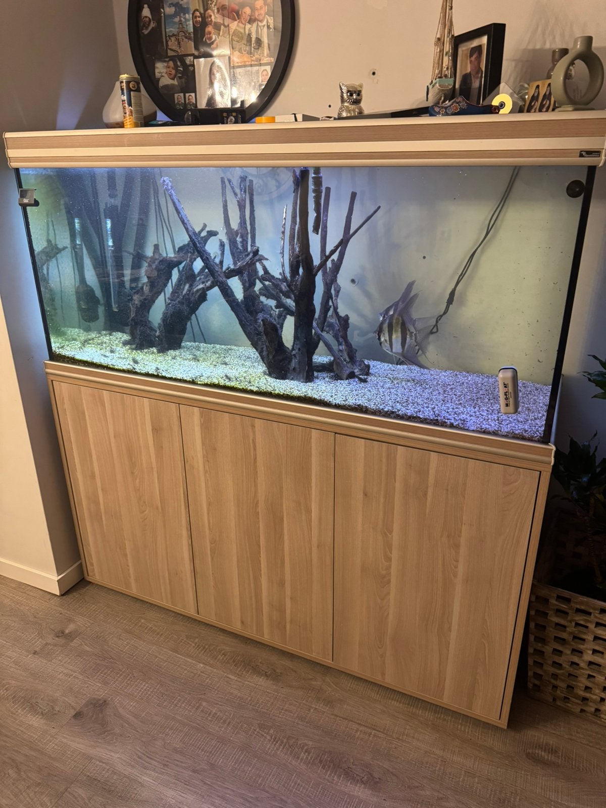 Aquarium 520l, Ophalen, Zo goed als nieuw
