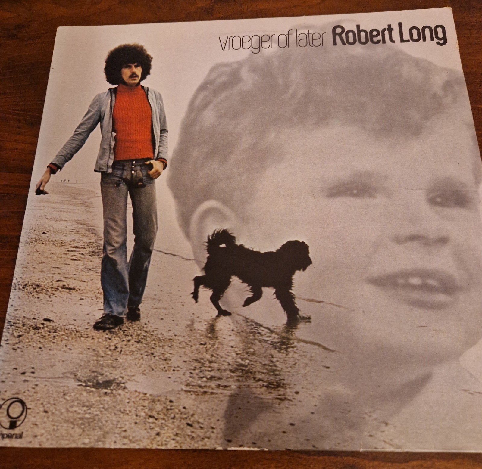 Robert Long - Vroeger of Later LP (1974), LP, Gebruikt, Ophalen of Verzenden, 12 inch