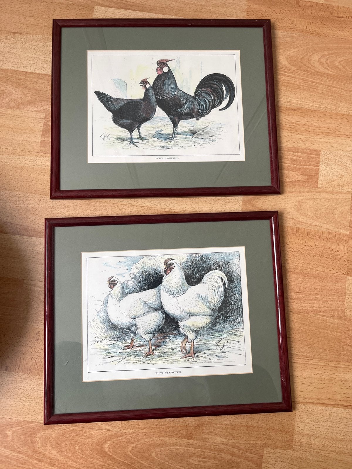 Set van 2 ingelijste vintage haan en kip, Minder dan 50 cm, Ophalen of Verzenden, 5 – 50, Print