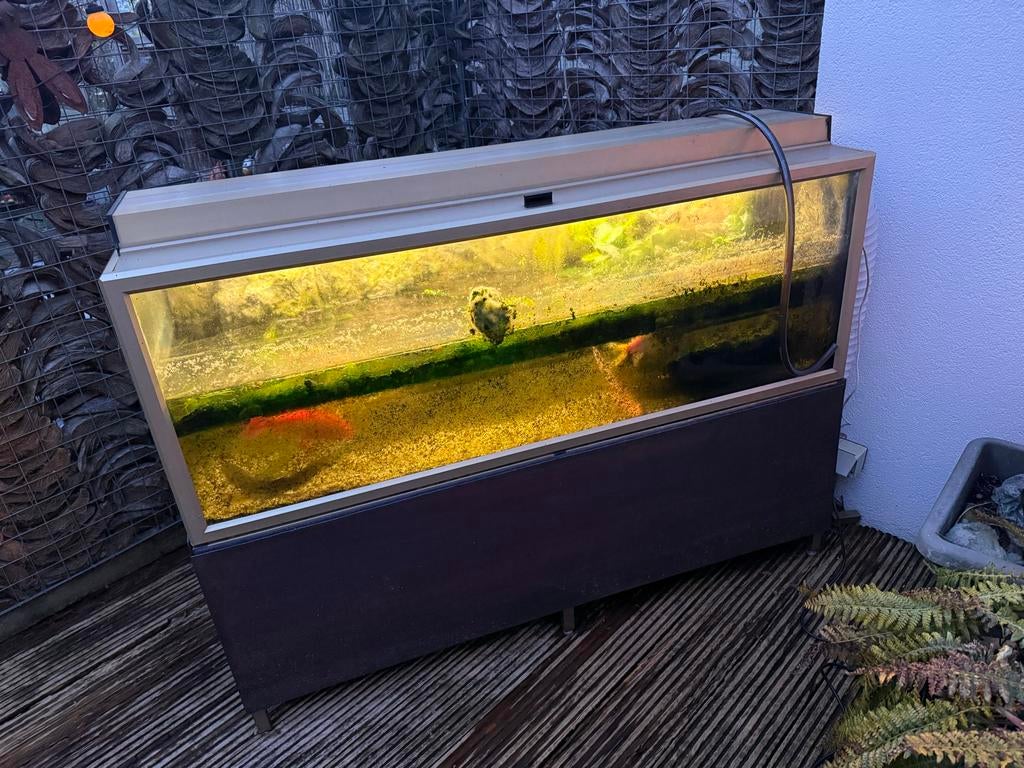 Koeling voor aquarium te koop teco 150, Ophalen, Gevuld zoetwateraquarium