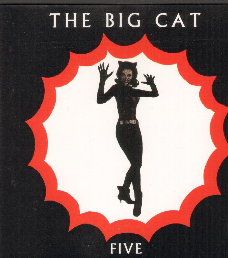 BIG CAT Palace Brothers PAVEMENT Jeff Buckley CD 17 tr *DC, Cd's en Dvd's, Cd's | Rock, Ophalen of Verzenden, Zo goed als nieuw
