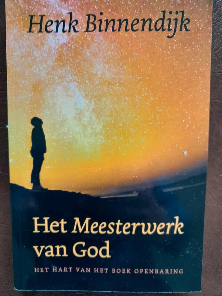 Henk Binnendijk - Het Meesterwerk van God, Ophalen of Verzenden, Zo goed als nieuw, Henk Binnendijk