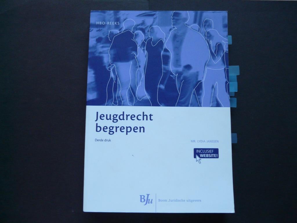 Jeugdrecht begrepen. ISBN 9789089747709, Boeken, Studieboeken en Cursussen, Zo goed als nieuw, Lydia Janssen, Beta, HBO