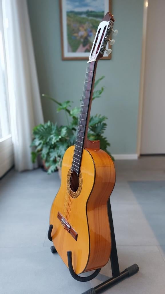 Azahar Cipres Flamenco, Ophalen, Zo goed als nieuw, Klassieke of Spaanse gitaar