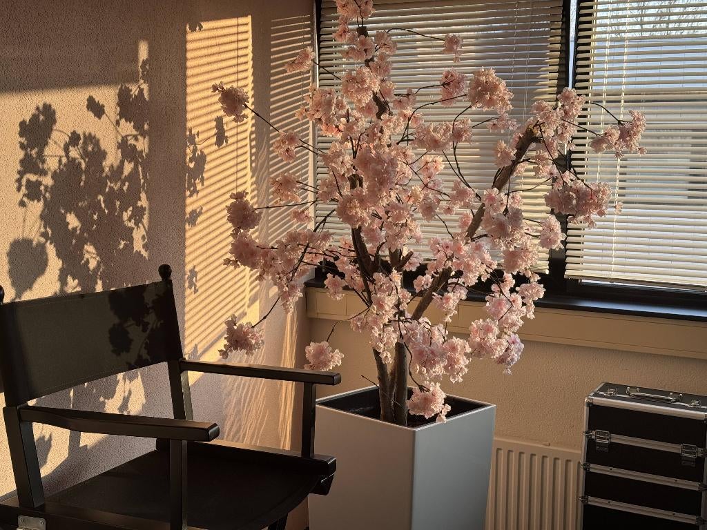 Ontspanningmassage Almere Stad - dinsdag 19 mei, Ontspanningsmassage