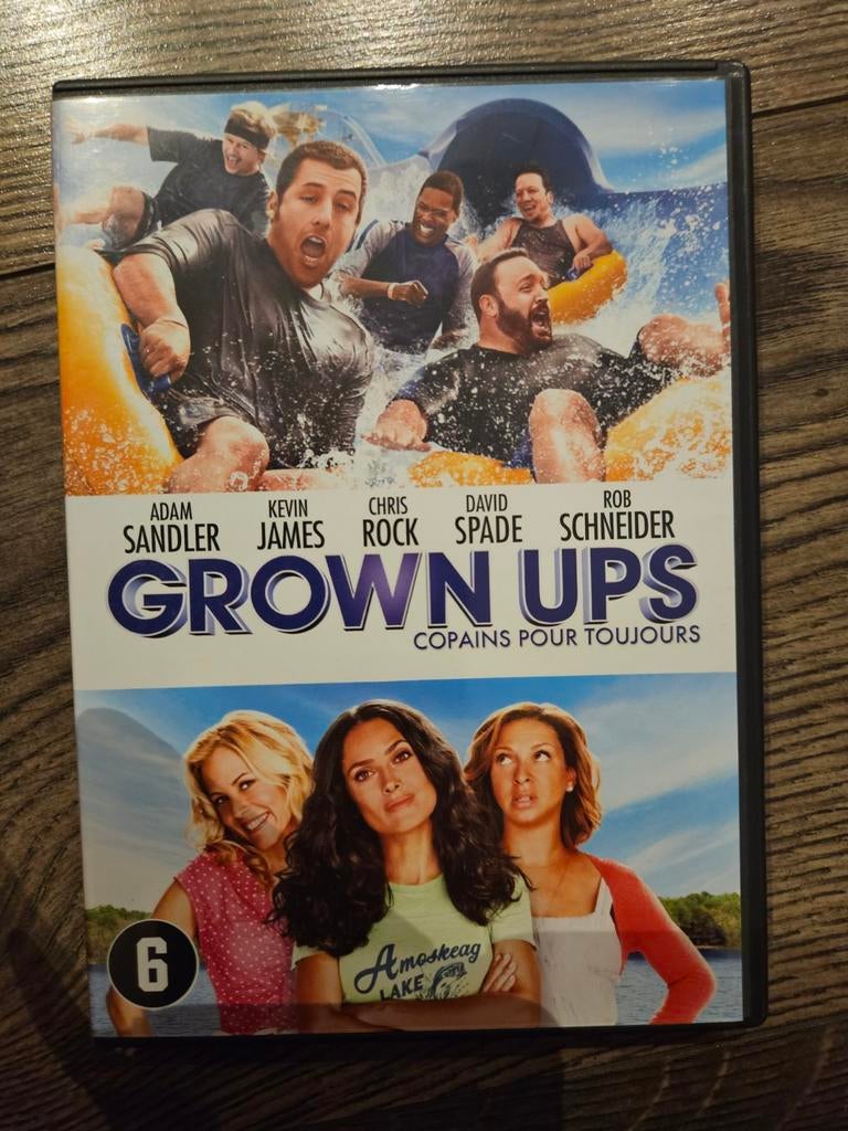 Grown Ups DVD - Komedie, Alle leeftijden, Ophalen of Verzenden, Zo goed als nieuw, Actiekomedie