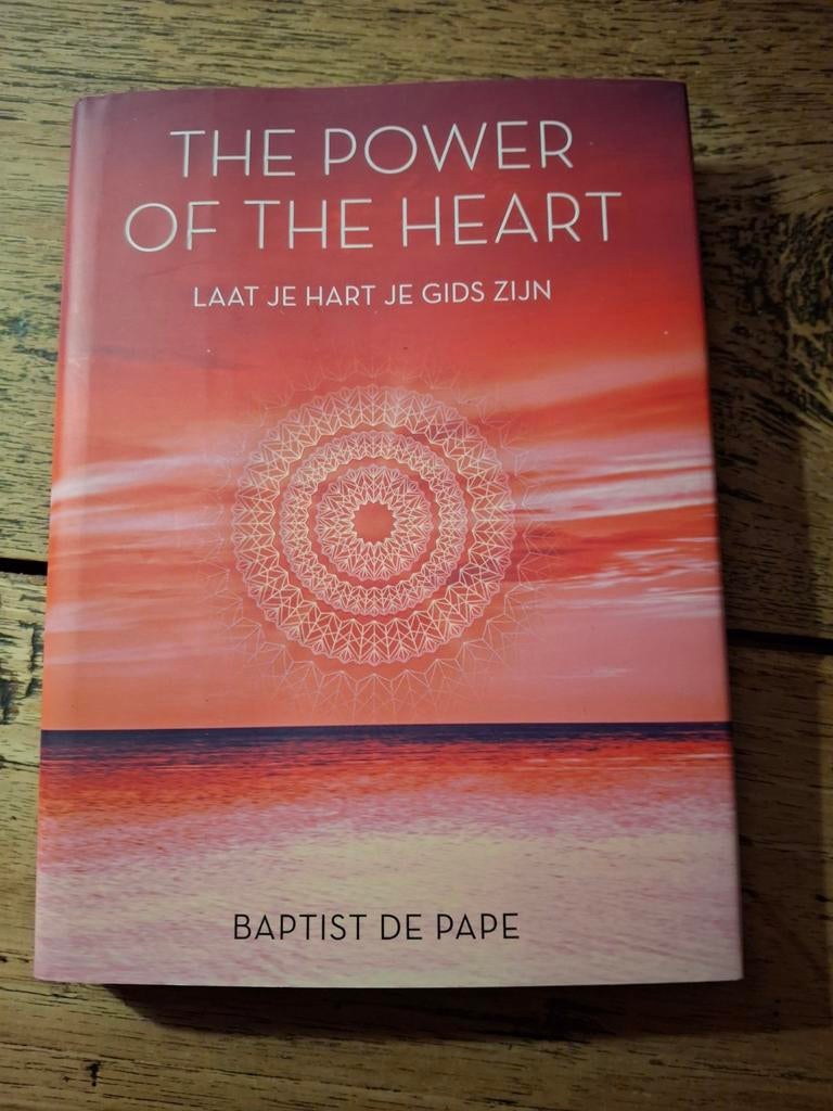 Baptist de Pape - The power of the heart, Boeken, Esoterie en Spiritualiteit, Zo goed als nieuw, Achtergrond en Informatie, Spiritualiteit algemeen