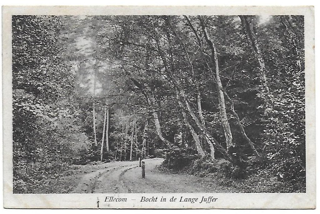 Ellecom Bocht Lange Juffer - Oude gelopen ansichtkaart B1023, Verzamelen, Ophalen of Verzenden, 1940 tot 1960, Gelopen