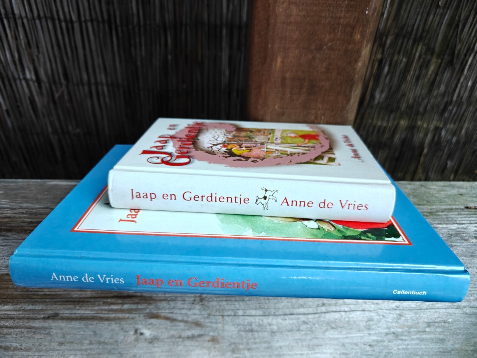2 Boeken van Jaap en Gerdientje., Boeken, Ophalen of Verzenden, Gelezen, 3 tot 4 jaar