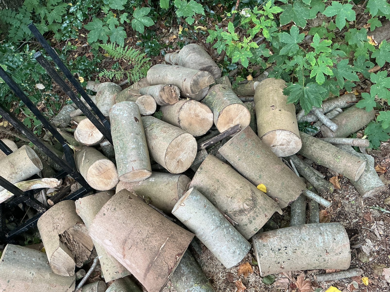 Haardhout vers gezaagd esdoorn ongeveer 2 kuub blokken, Minder dan 3 m³, Ophalen, Essenhout, Blokken