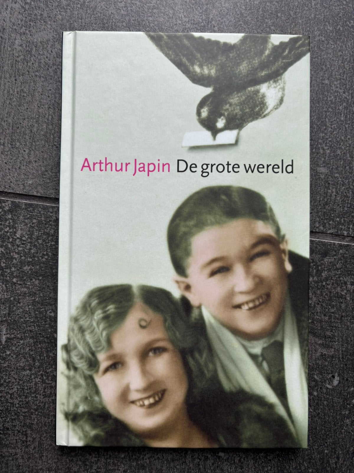 Arthur Japin - De grote wereld, Ophalen of Verzenden, Zo goed als nieuw
