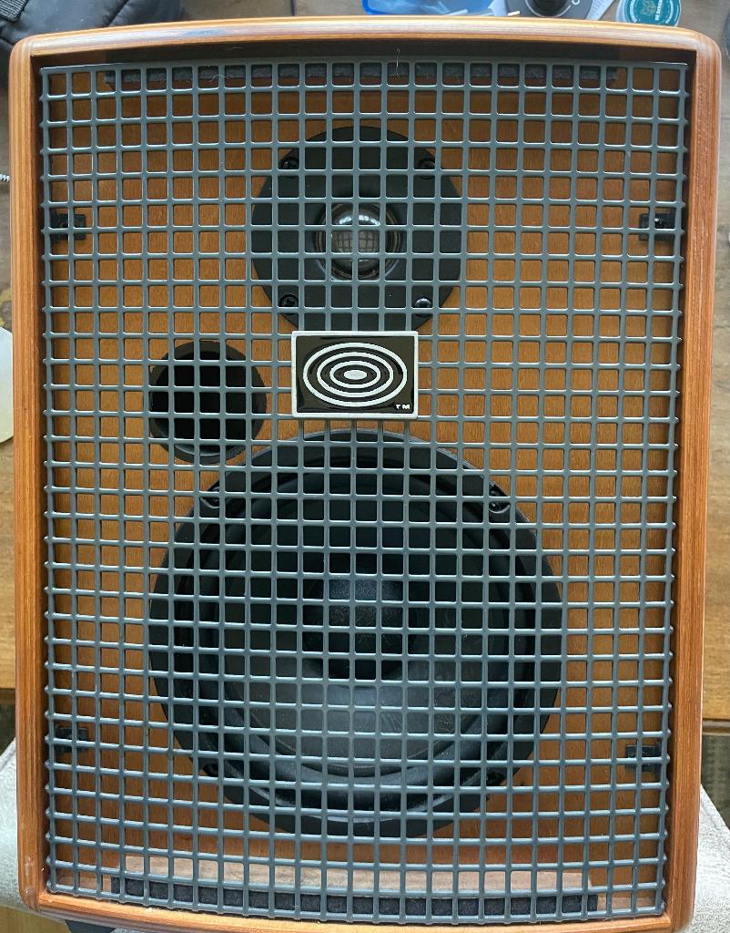 Acoustische gitaar versterker, Muziek en Instrumenten, Versterkers | Bas en Gitaar, Ophalen, Zo goed als nieuw, Gitaar, 50 tot 100 watt