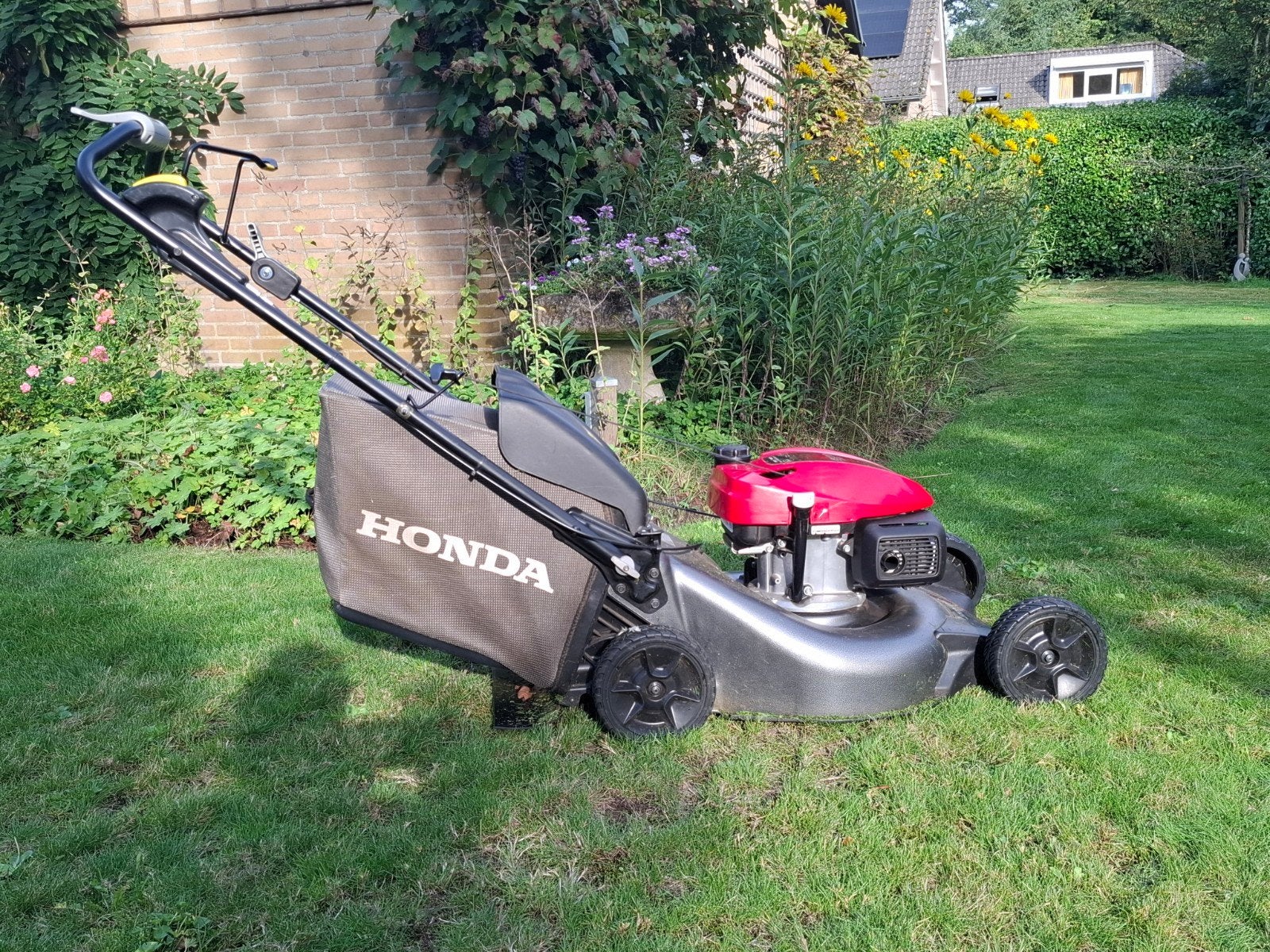 Honda Grasmaaier HRN 536 VY - 53 cm maaibreedte, Ophalen, Cirkelmaaier, Honda, Gebruikt