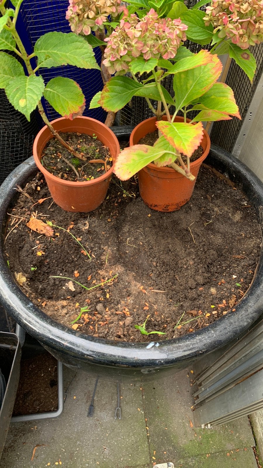 Grote  plantenbak/pot, Ophalen, Overige materialen, Rond, Zo goed als nieuw