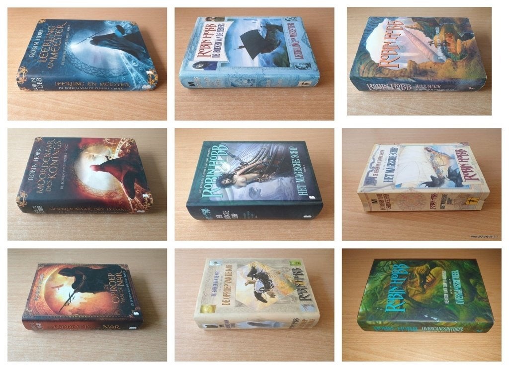 Robin Hobb, Ned/Eng, hardcovers / paperbacks p.s. te koop, Verzenden, Gelezen, Robin Hobb