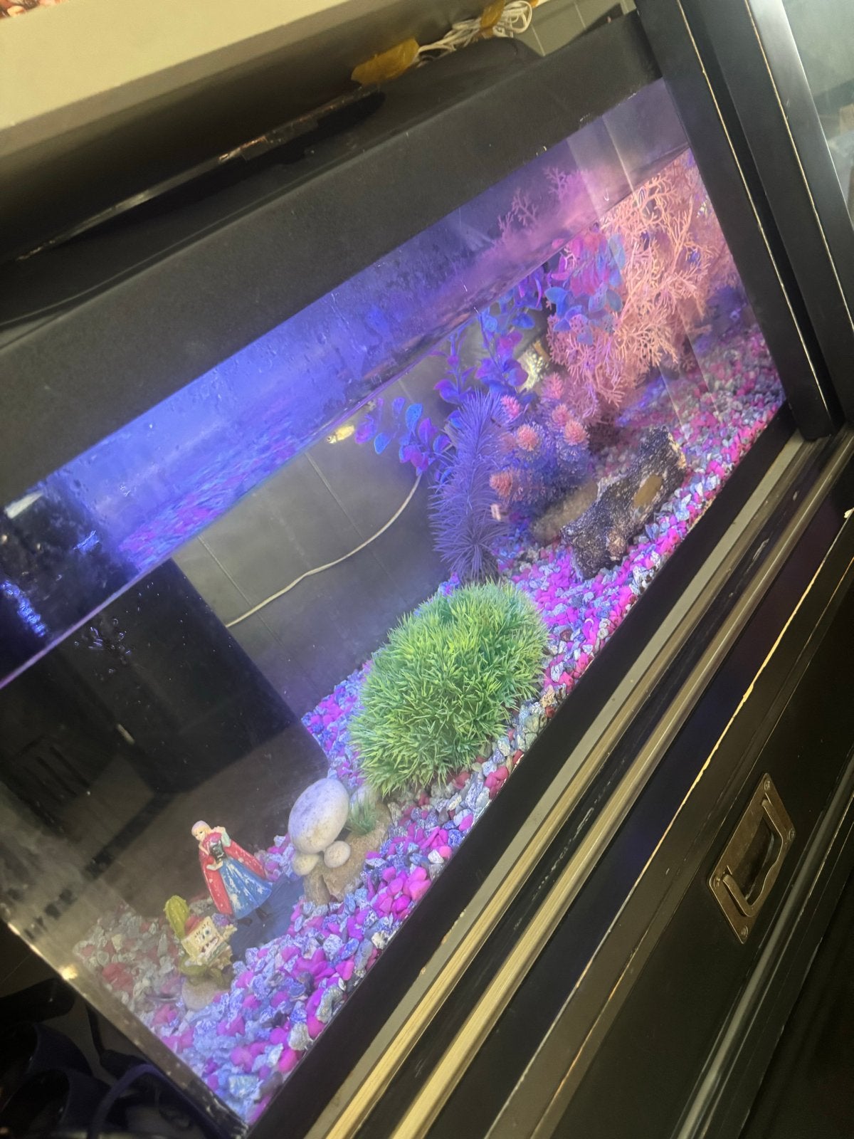 Aqarium, Dieren en Toebehoren, Ophalen, Inclusief vissen, Gebruikt, Overige typen