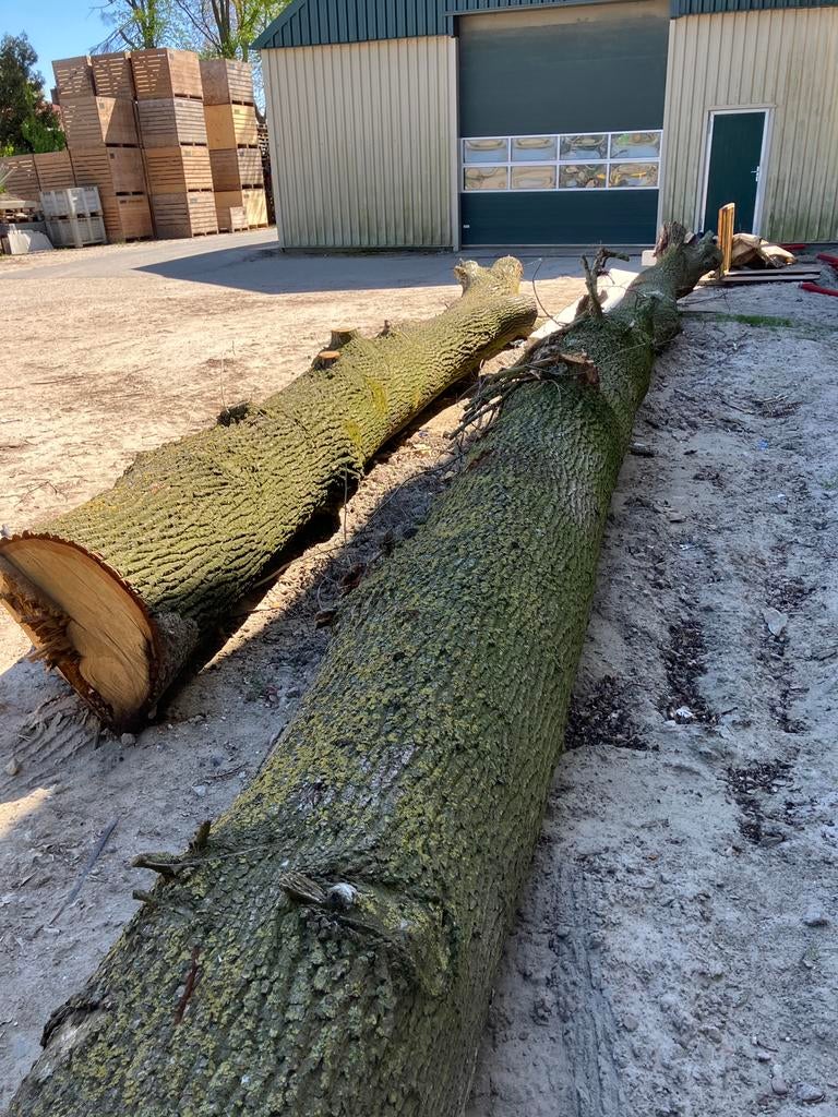 Flinke eiken stammen eikenbalken eikenboom, Tuin en Terras, Haardhout, Minder dan 3 m³, Ophalen