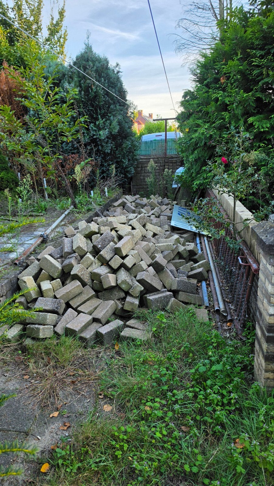 : Gebruikte straatstenen, Ophalen, Gebruikt, Klinkers, 10 m² of meer