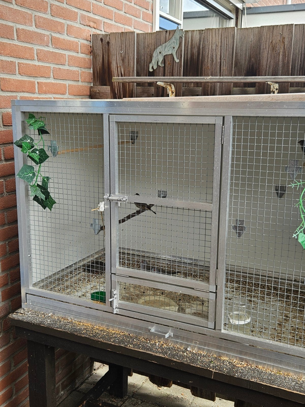 Vogels, Meerdere dieren