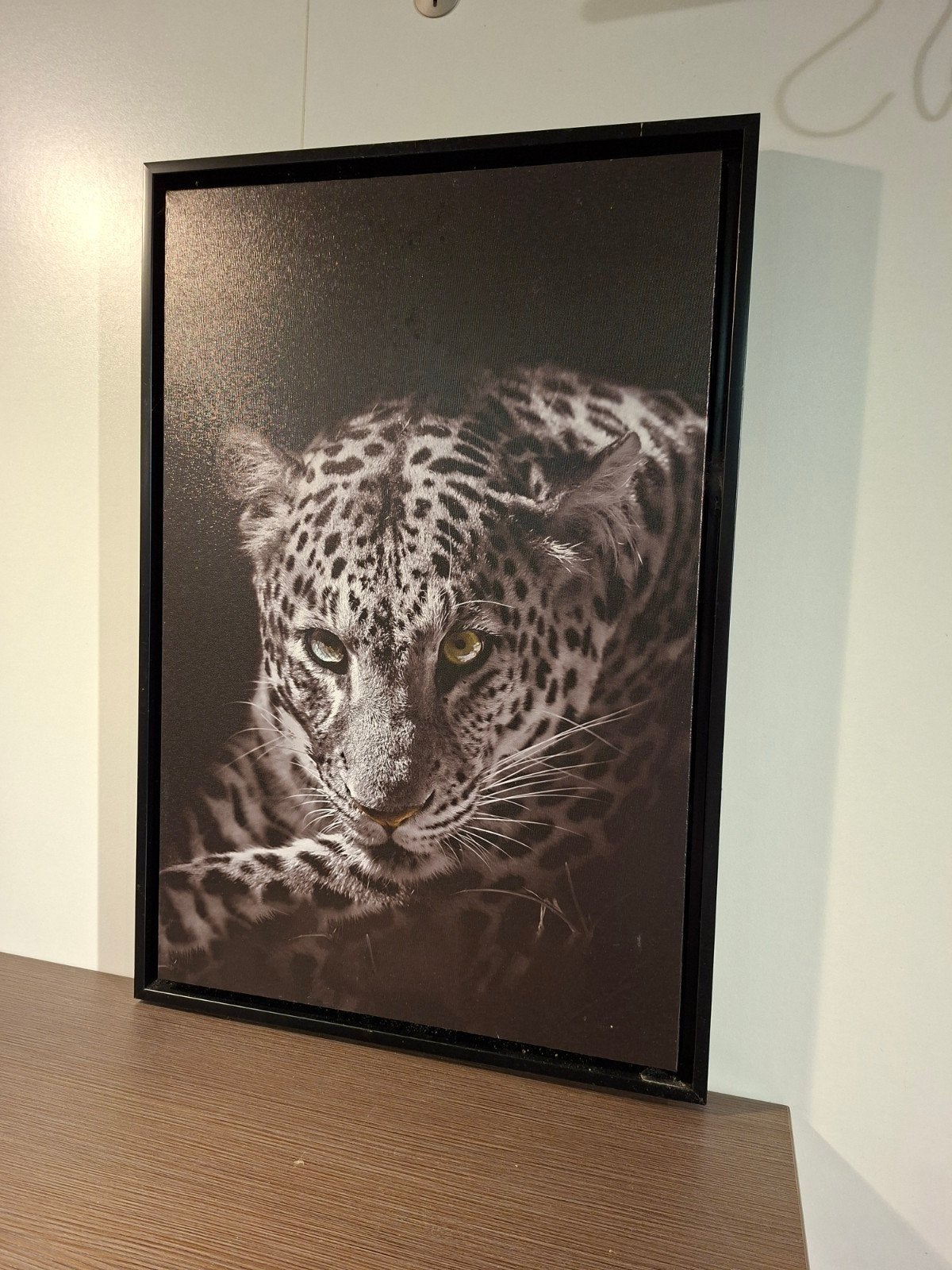 Panter schilderij, Ophalen, 50 – 75, Minder dan 50 cm, Langestraat 64