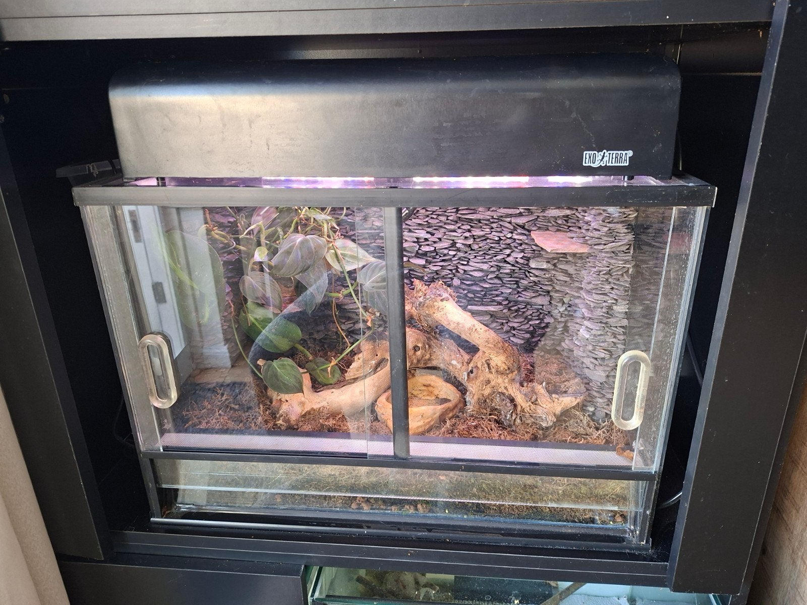 Terrarium 50x35x30 cm, Ophalen, Zo goed als nieuw, Terrarium of Paludarium