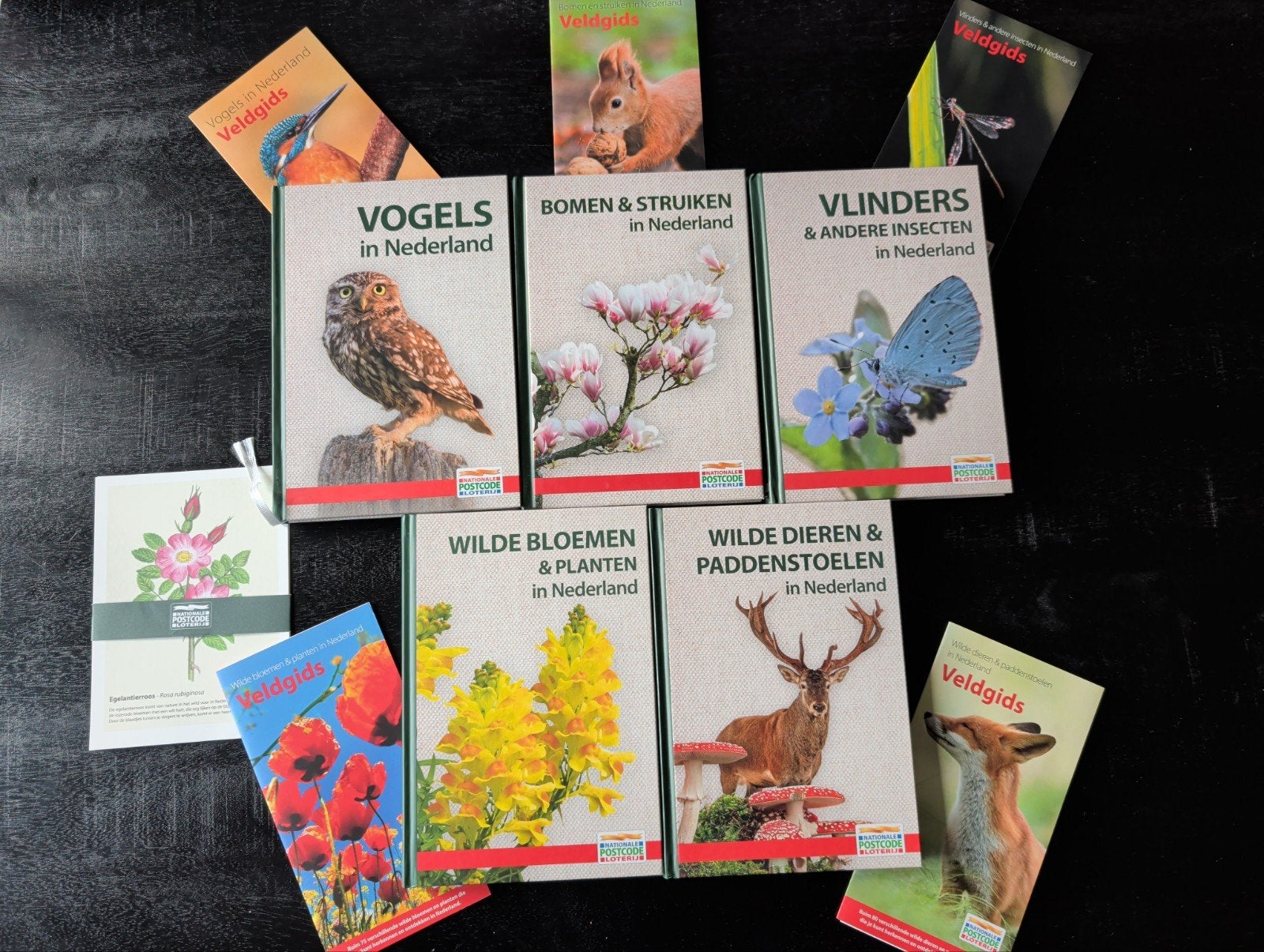Natuurboeken compleet met veldgids Postcodeloterij oa vogel, Boeken, Ophalen of Verzenden, Nieuw, Natuur algemeen, Diverse auteurs