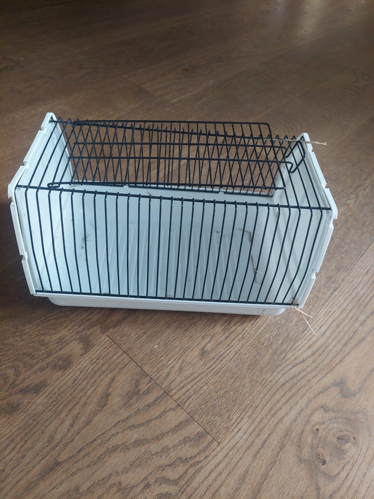 Reiskooi vogels, goede staat, Ophalen