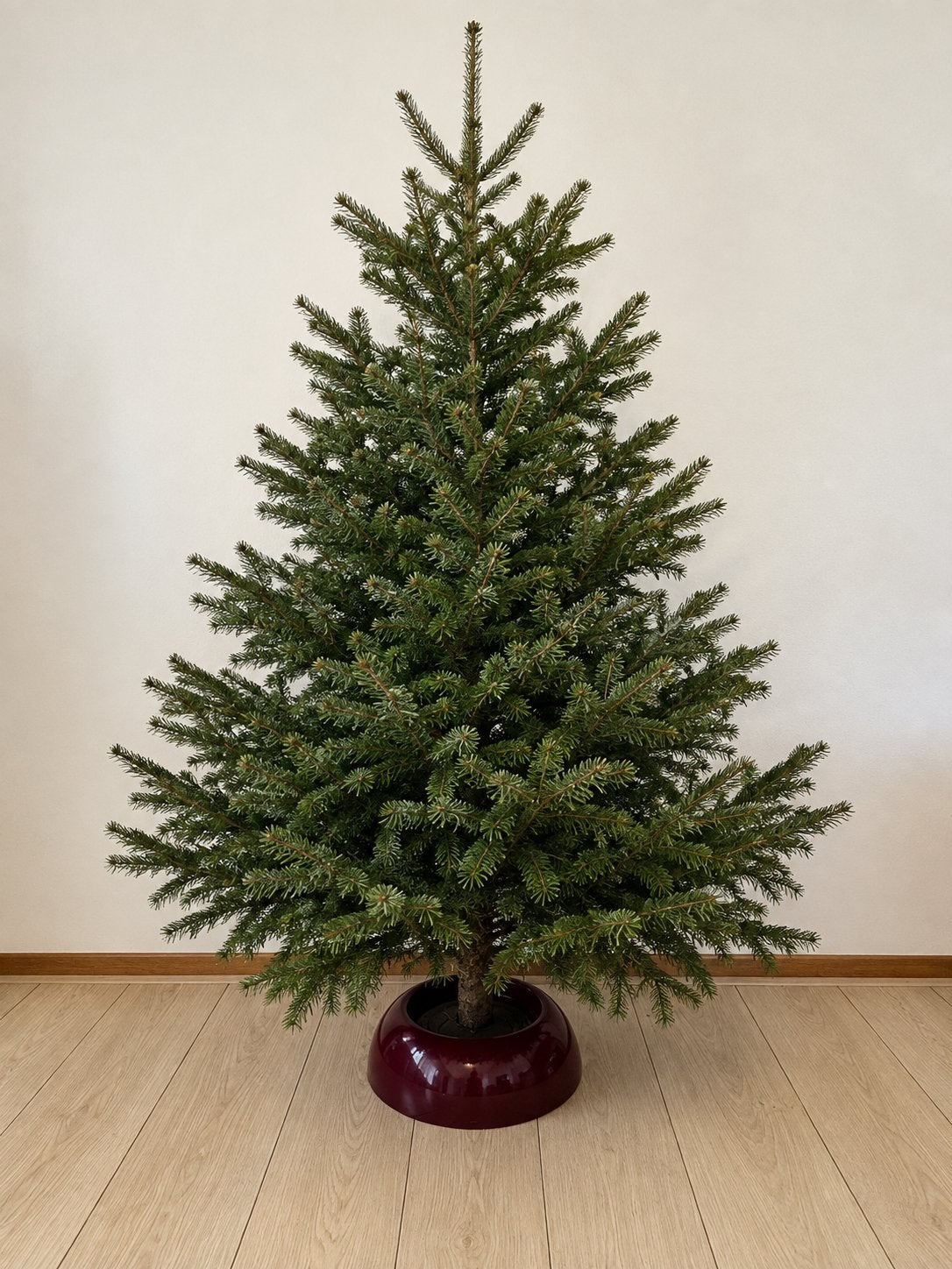 Mooie Stevige Kerstboom Standaard bordeaux rood, Diversen, Ophalen of Verzenden