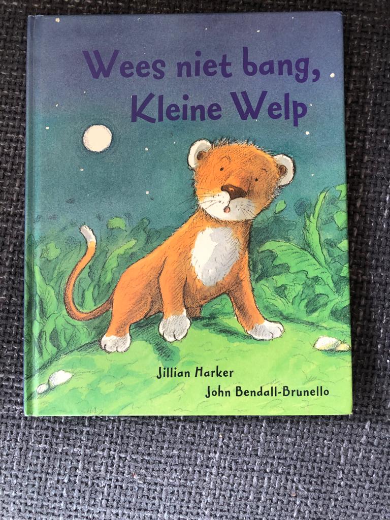Wees niet bang kleine welp, Ophalen of Verzenden, Gelezen, Fictie algemeen