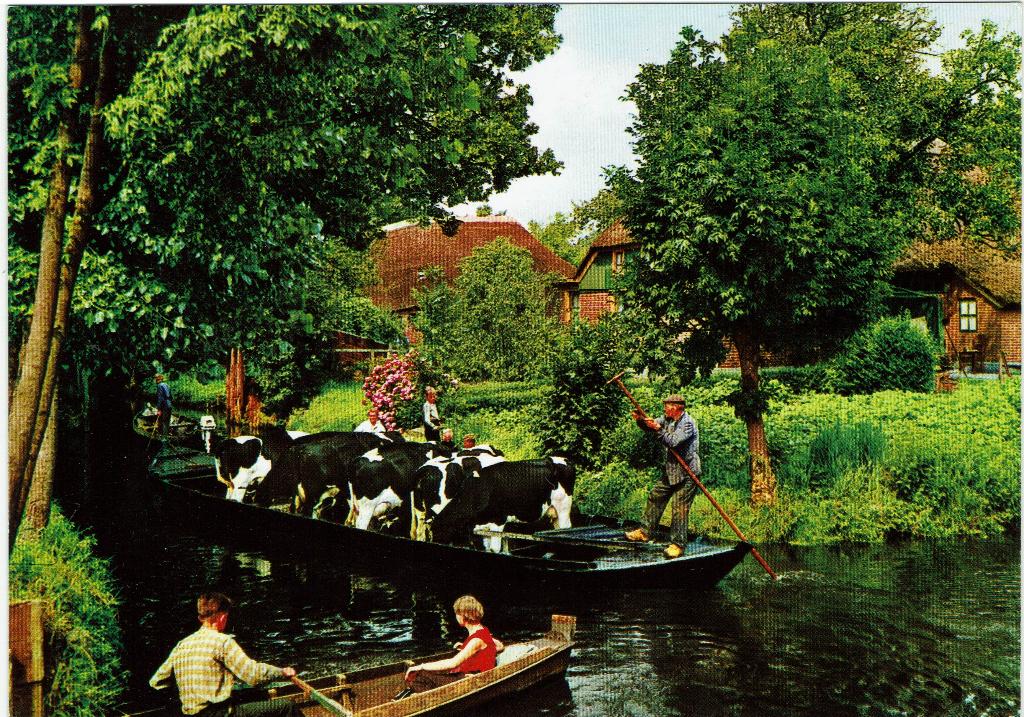 Giethoorn – Veevervoer per boot., Ophalen of Verzenden, 1980 tot heden, Ongelopen, Overijssel