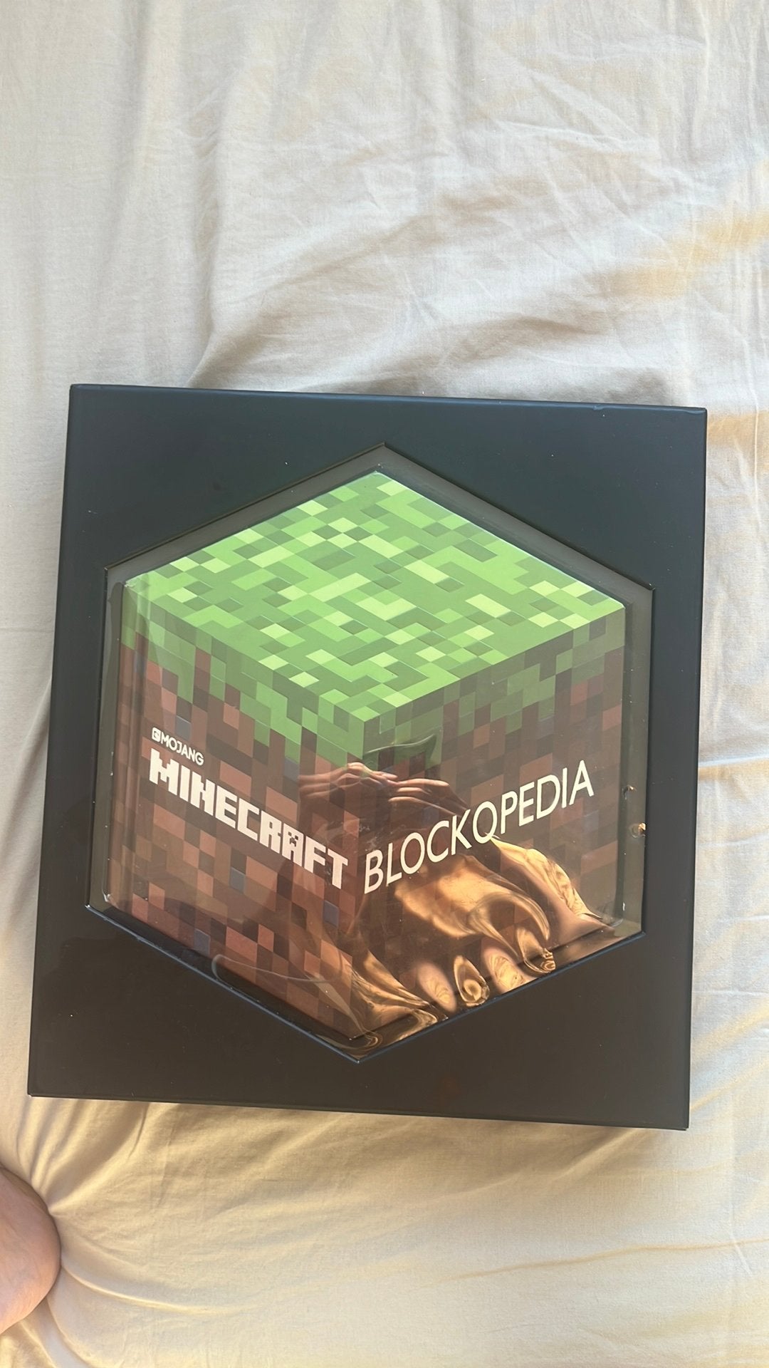 Minecraft blockopedia, Boeken, Ophalen of Verzenden, Zo goed als nieuw