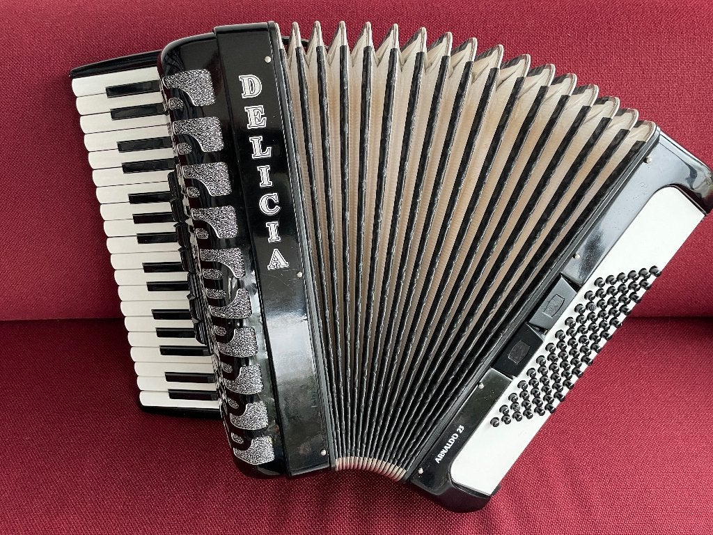 ≥ Z.g.a.n. Delicia Arnaldo 23 accrodeon . 72 bas .Compact
