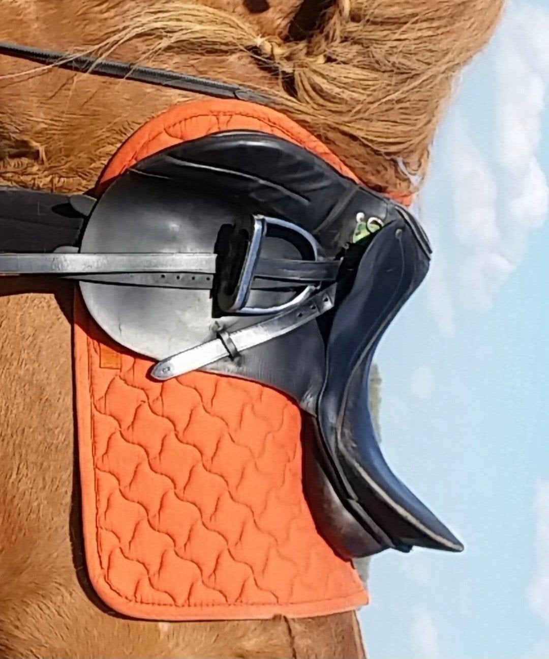 paardenspullen, Dieren en Toebehoren, Ophalen