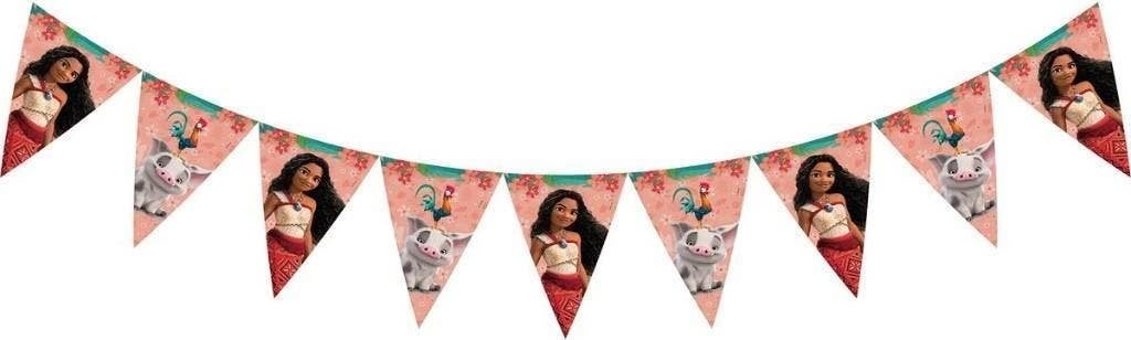 Disney Vaiana Feestartikelen / Versiering Kinderfeestje, Ophalen of Verzenden, Nieuw, Versiering, Verjaardag