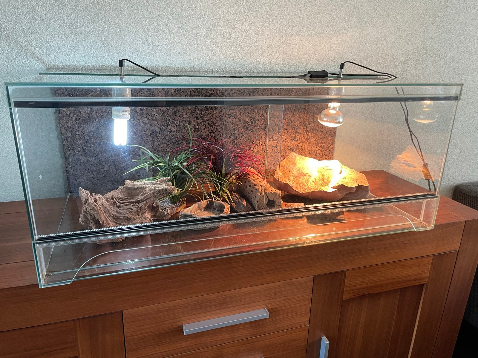 Terrarium incl toebehoren izgst 100x55x40cm, Ophalen, Zo goed als nieuw, Terrarium of Paludarium