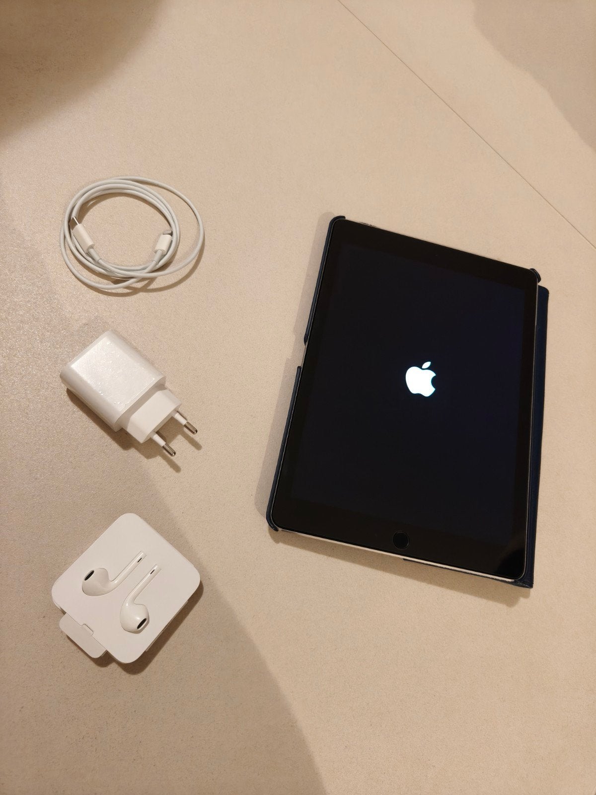 iPad Pro 9,7-inch (1e generatie) 128GB In Zeer Goede Staat, Gebruikt, Apple iPad, Ophalen of Verzenden, 128 GB