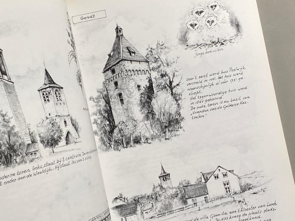 De Betuwe, land tussen rivieren (1992), Boeken, Geschiedenis | Stad en Regio, Ophalen of Verzenden, 20e eeuw of later, Zo goed als nieuw