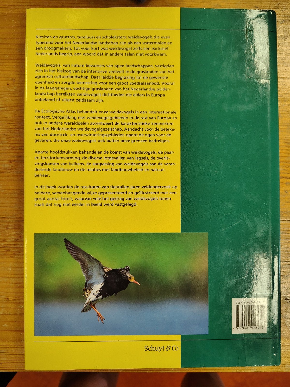 Ecologische atlas van de Nederlandse weidevogels, Boeken, Ophalen of Verzenden, Zo goed als nieuw, A. Beintema; O. Moedt