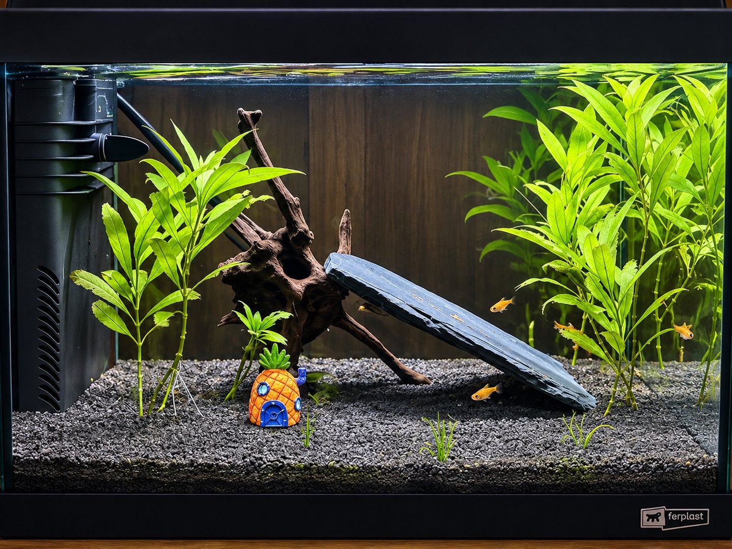 40L volwaardig aquarium (met vissen en toebehoren), Ophalen, Inclusief vissen, Zo goed als nieuw, Gevuld zoetwateraquarium