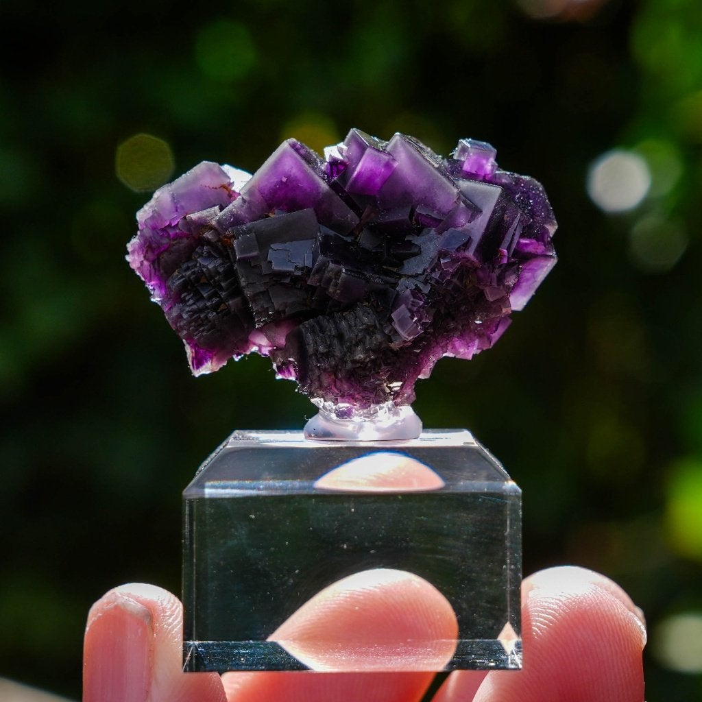 Fluoriet uit Weisseck, Gipfelkluft #2, Verzamelen, Ophalen of Verzenden, Mineraal
