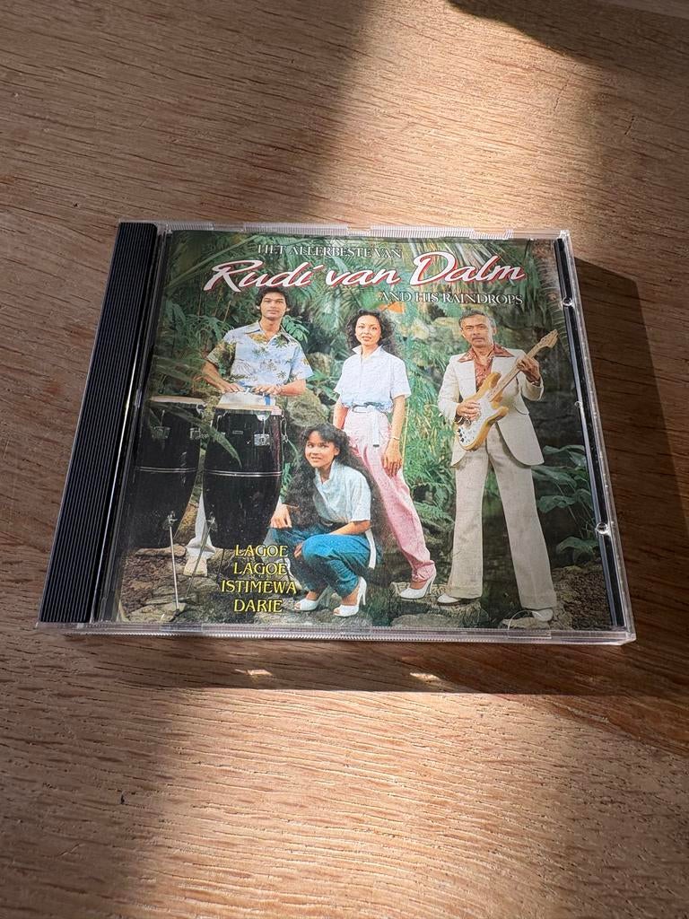 Het Allerbestevan Rudi van Dalm and His Raindrops CD, Ophalen of Verzenden, Zo goed als nieuw