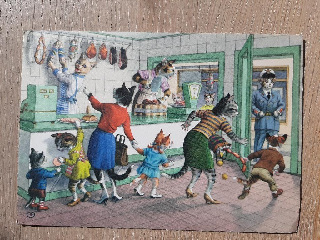getekende kaart Aangeklede poezen in slagerij winkel, jr60?, Ophalen of Verzenden, 1940 tot 1960, Ongelopen, Overige thema's