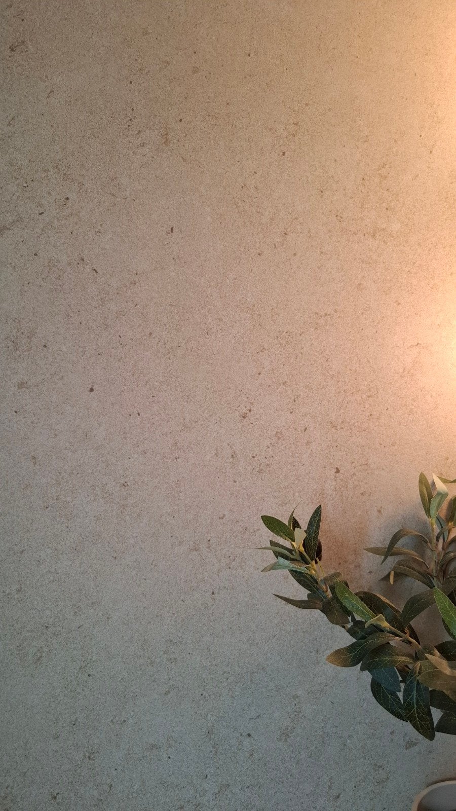 Pamesa Sospiro Marfil tegels 120x120 cm (5 stuks), Ophalen, 60 cm of meer, Nieuw, 5 tot 10 m²