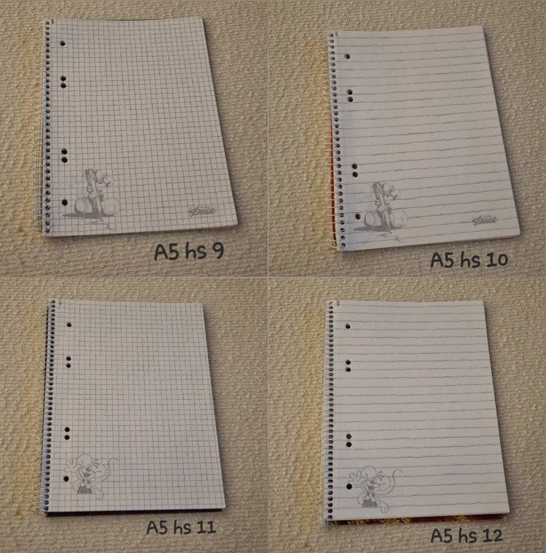 Diddl A5 hs blaadjes, Ophalen of Verzenden, Diddl, Zo goed als nieuw, Papier, Kaart of Schrift