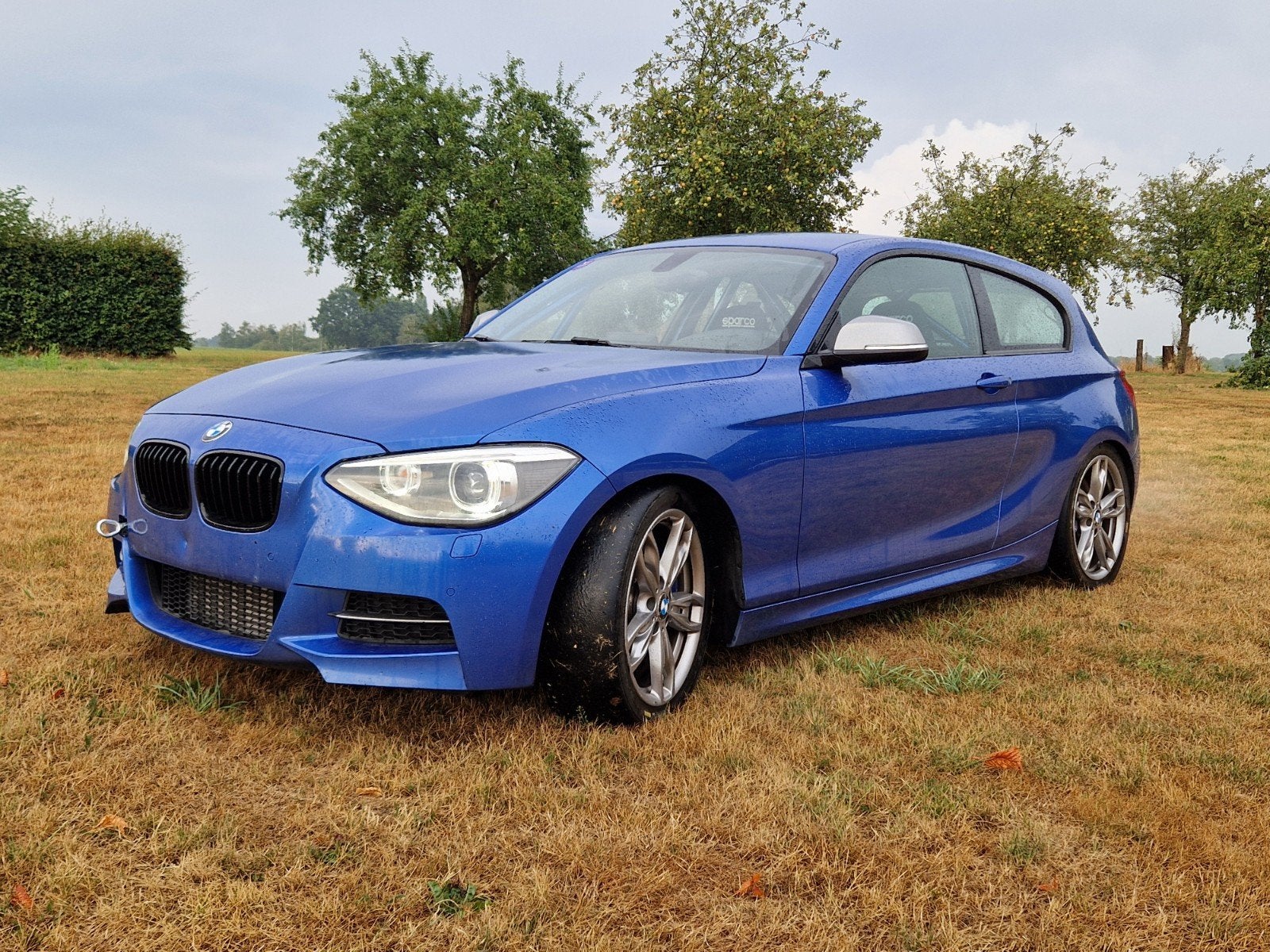 BMW M135I TRACKDAY AUTO Incl Gecertificeerde kooi, Bedrijf, 2 stoelen, Blauw, Onderhoudsboekje